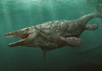 Tylosaurus