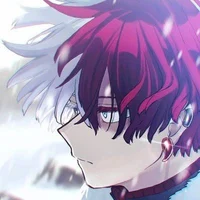 Shoto Todoroki