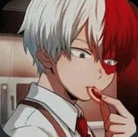 Shoto Todoroki
