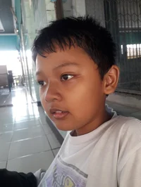 Palapat