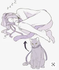 cat jiang cheng
