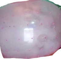 Rubber Stress Ball 2