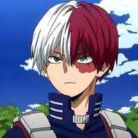 Todoroki classmate