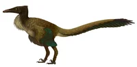 Buitreraptor