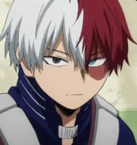 Shoto Todoroki