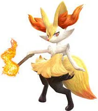 Braixen in real life