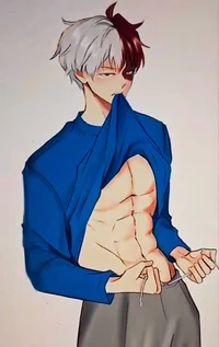 Shoto Todoroki 