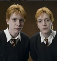 The Weasley Twins 