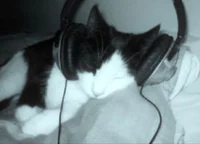 Kezi