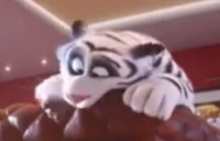 Hu the white tiger