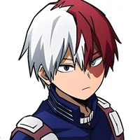 Shoto Todoroki 