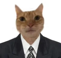 Your Cat Lawyer