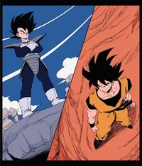 Goku and Vegeta 