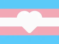 Trans support