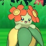 Bellossom 
