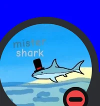 Mrshark