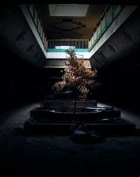 you live manique RPG