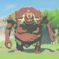 Hinox Botw