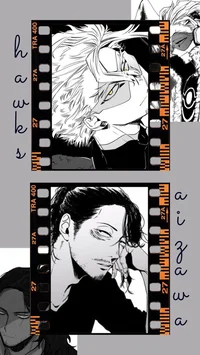 Hawks and Aizawa 