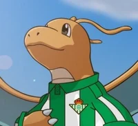 Dragonite betico