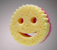 scrub daddy