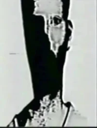 The Mandela Catalog