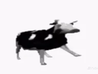 Spinning Cow