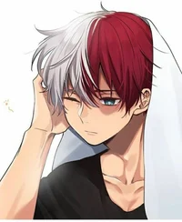 Shoto Todoroki