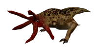 Bullsquid