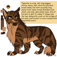 TigerPelt