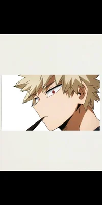 Katsuki Bakugou 