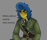 Wally militar