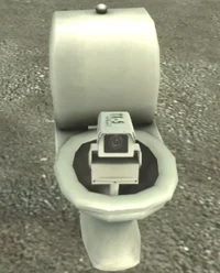 Camera Toilet