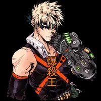 Pro-Hero Bakugo