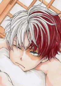 Shoto Todoroki 