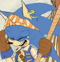 Pirate Sonic