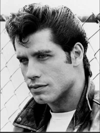 Danny Zuko