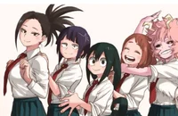 My hero harem