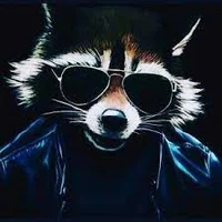 HYIP raccoon