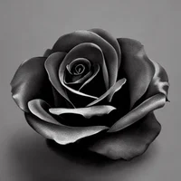 Esmeray Validus__F2F