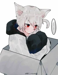 Yohan Catboy