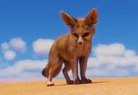 fennec fox 