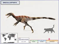 Sinocalliopteryx