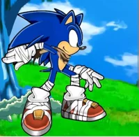 Sonic ssxu