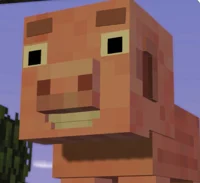 Minecraft Pig