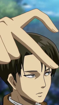 Levi Ackerman 