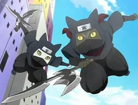 Cat Ninja