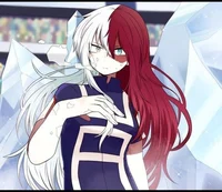 Shouka todoroki 