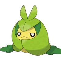Swadloon