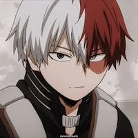 Shoto Todoroki 